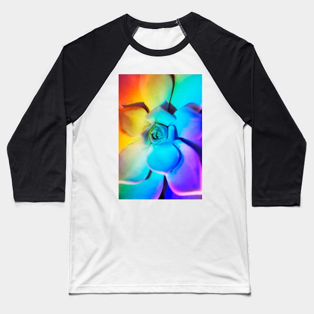 Rainbow echeveria Baseball T-Shirt by karinelizabeth